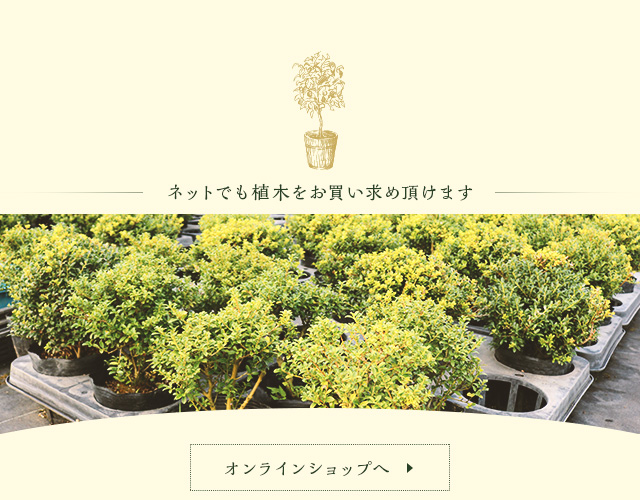 久留米市田主丸の園芸用植木のオンラインショップサイト金華園